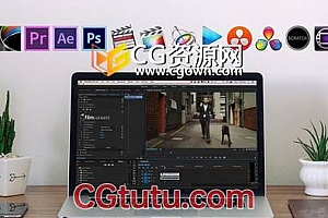 AE/PR插件FilmConvert Nitrate v3.04中文汉化版本