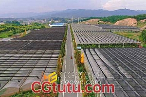 农业航拍现代大规模种植蔬菜基地实拍视频素材