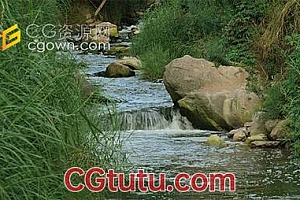 小溪溪流水流流水小河自然景观实拍视频素材