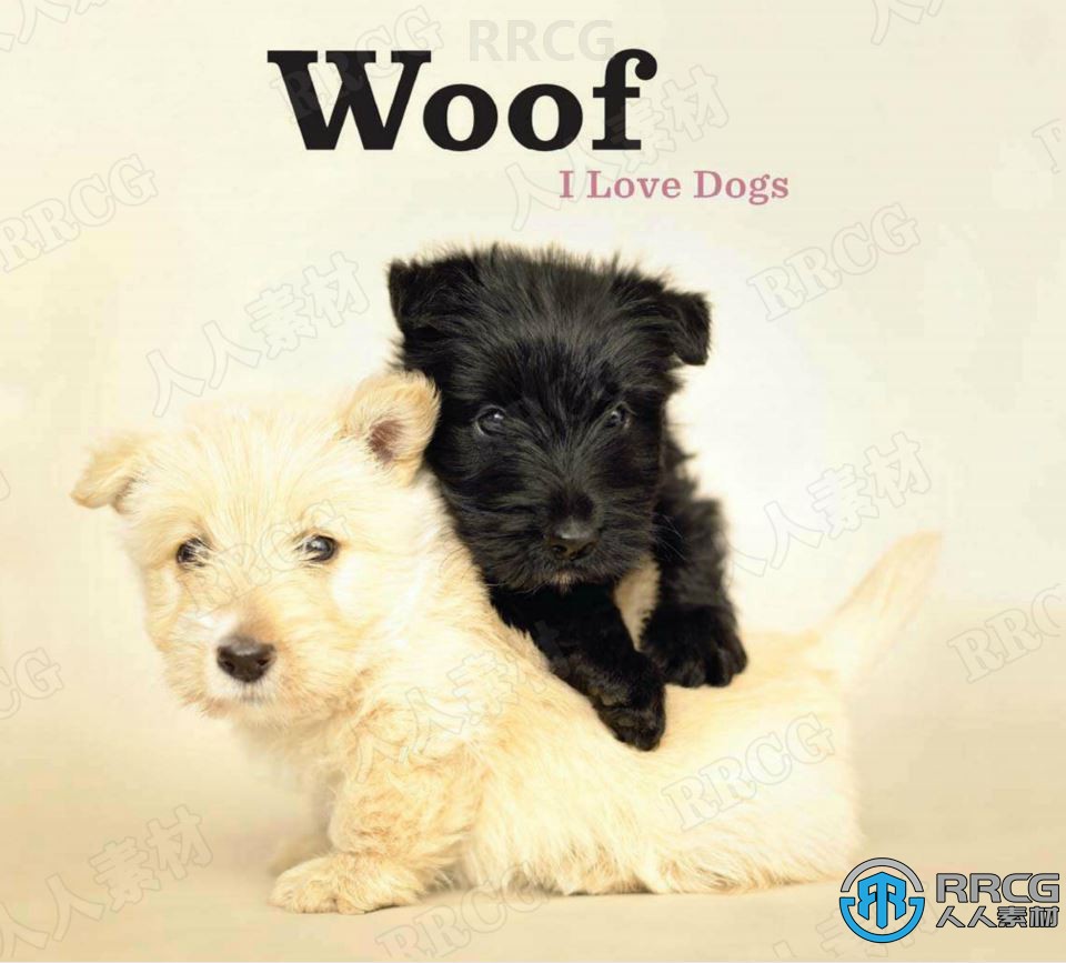 可爱温顺狗狗照片素材高清创作参考图合集