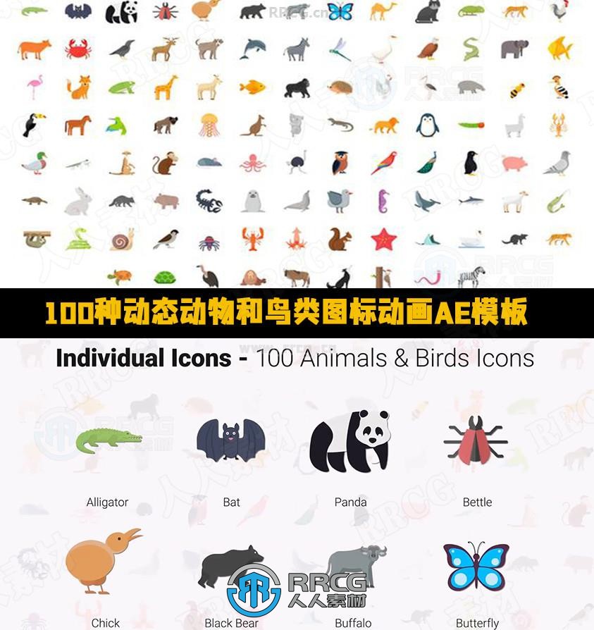 100种动态动物和鸟类图标动画AE模板
