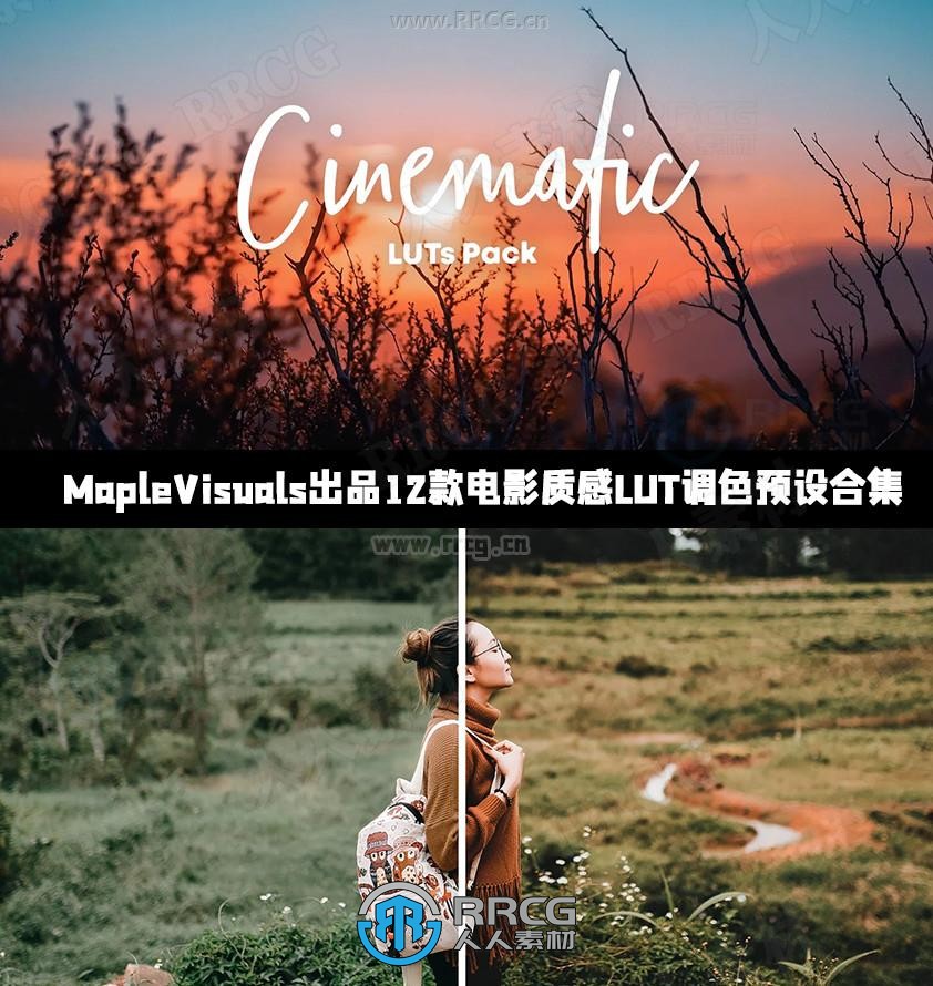 MapleVisuals出品12款电影质感LUT调色预设合集