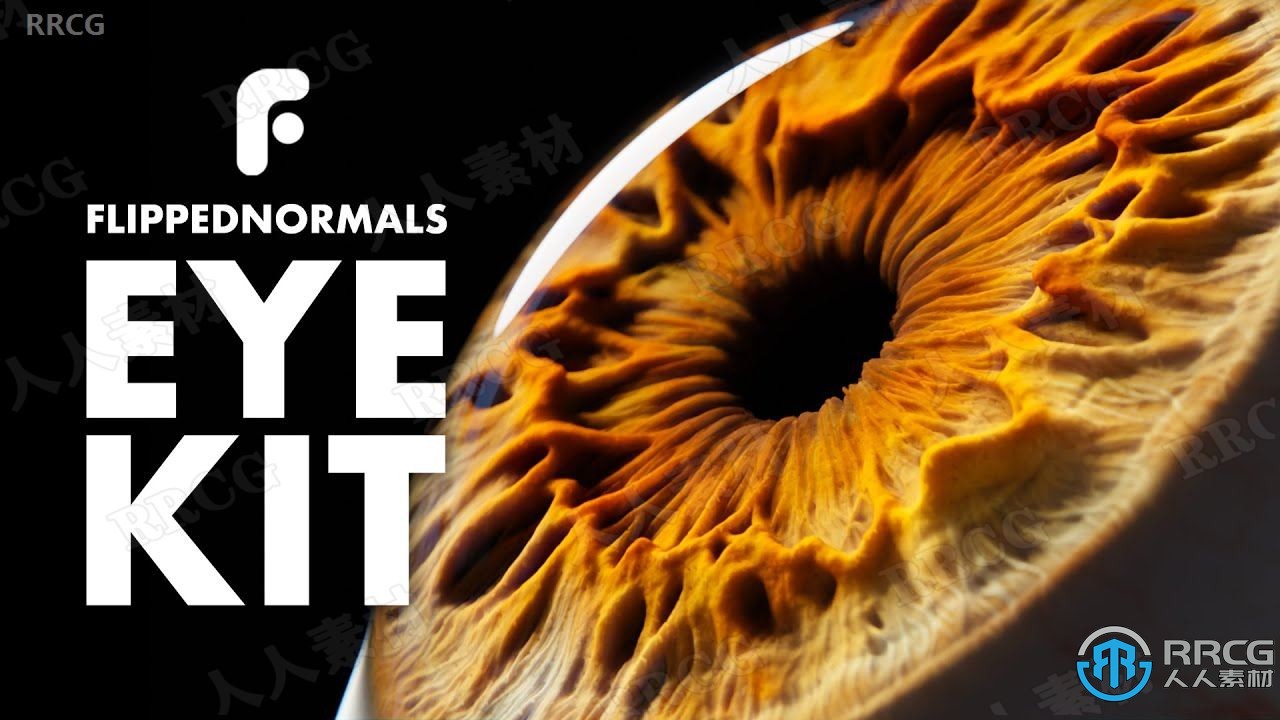逼真人物眼睛虹膜细节特写3D模型与贴图合集