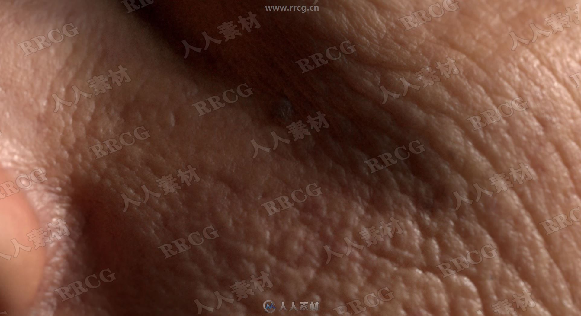 Texturingxyz出品高精度四十岁男性全脸贴图合集