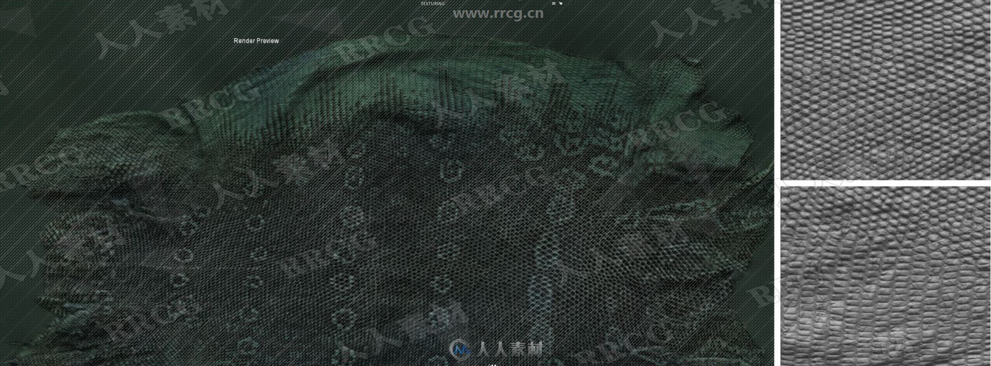 Texturingxyz出品大型蜥蜴全皮肤纹理贴图合集