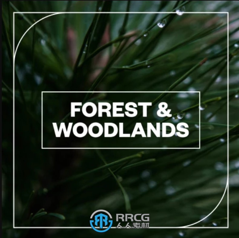 48组森林丛林草地和田野自然音效库合集